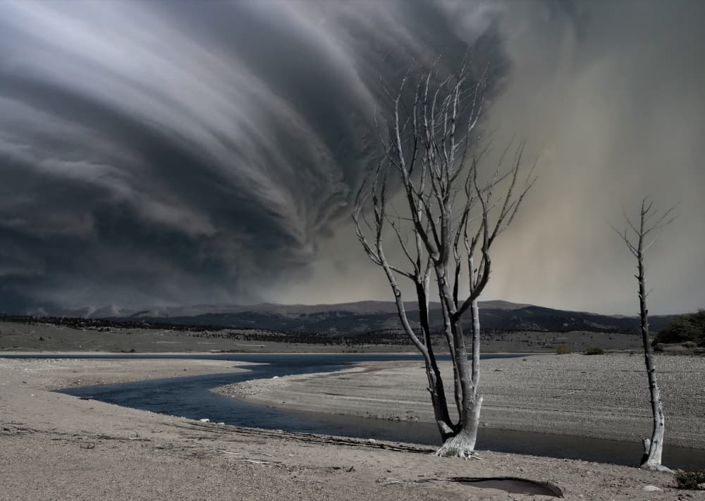 Swirling Storm Barren Trees by Yvette Depaepe — canvas wall art