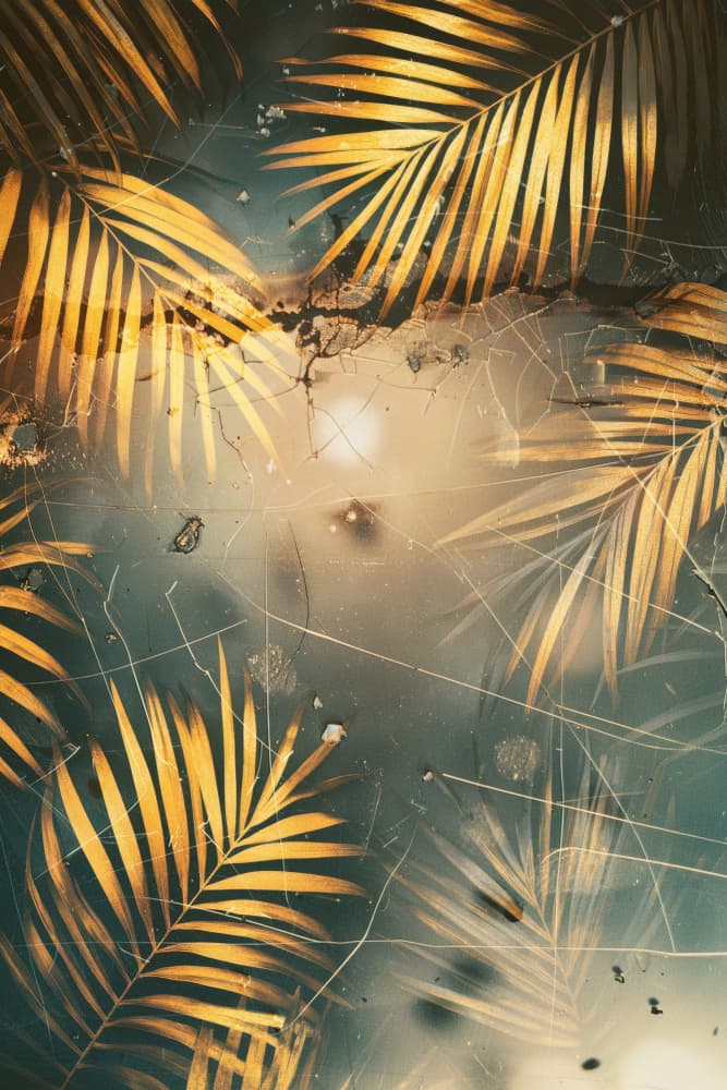 Sunlit Golden Palms by Rafal Kulik — canvas wall art