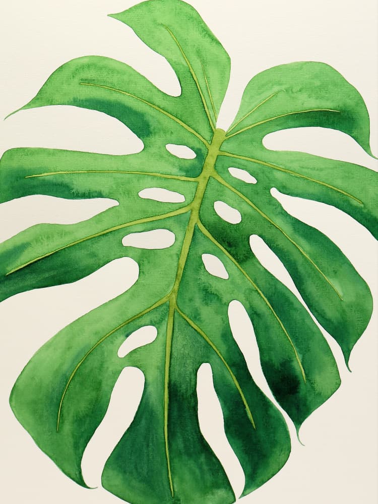 Tropical Monstera Leaf by Natalie Bruns — canvas wall art