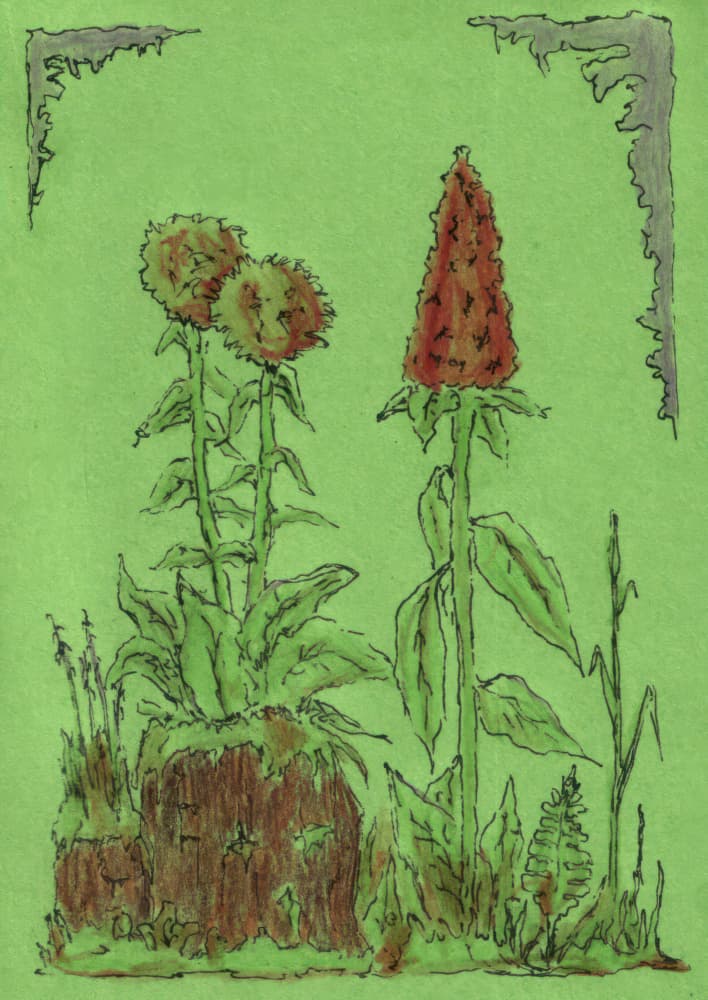 Whimsical Garden Plants by Kulik — canvas wall art