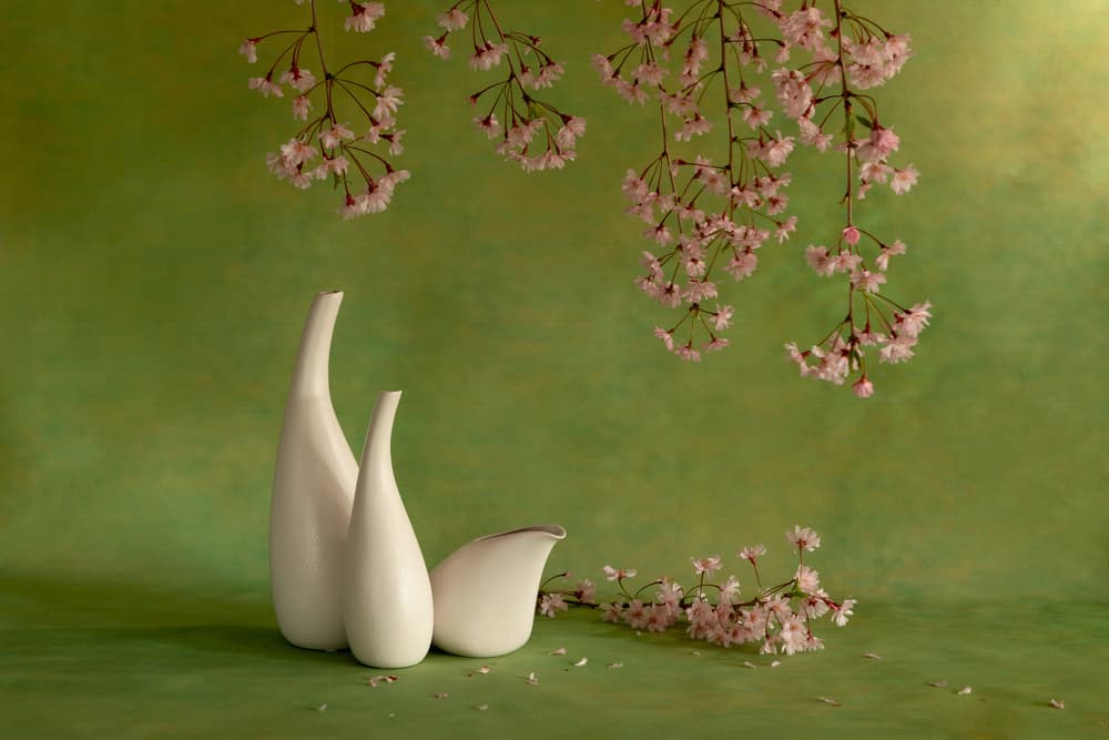 Cherry Blossom Vases by Wendy Xu — canvas wall art