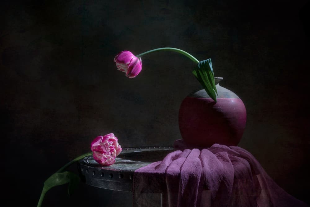 Pink Tulips Still Life by Lydia Jacobs — canvas wall art