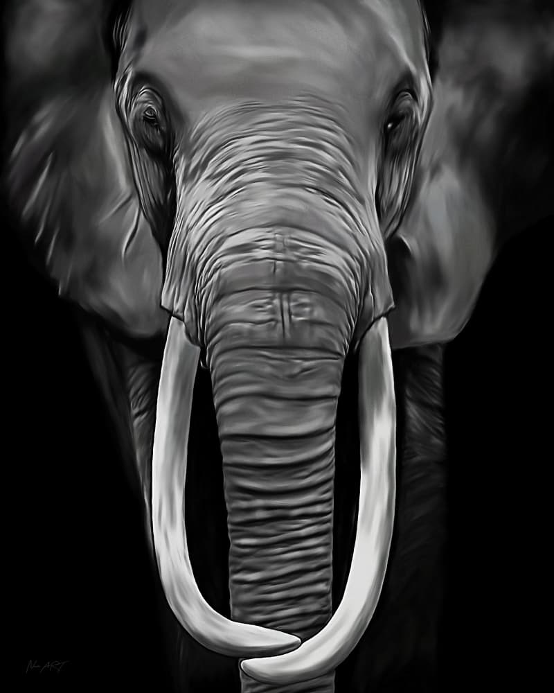 Majestic Elephant by Lord Amihere — canvas wall art