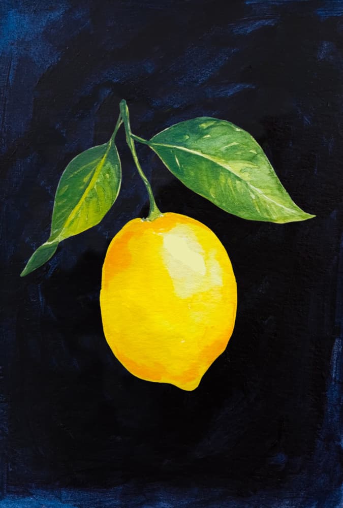 Vibrant Lemon Branch by Madison Phipps — canvas wall art