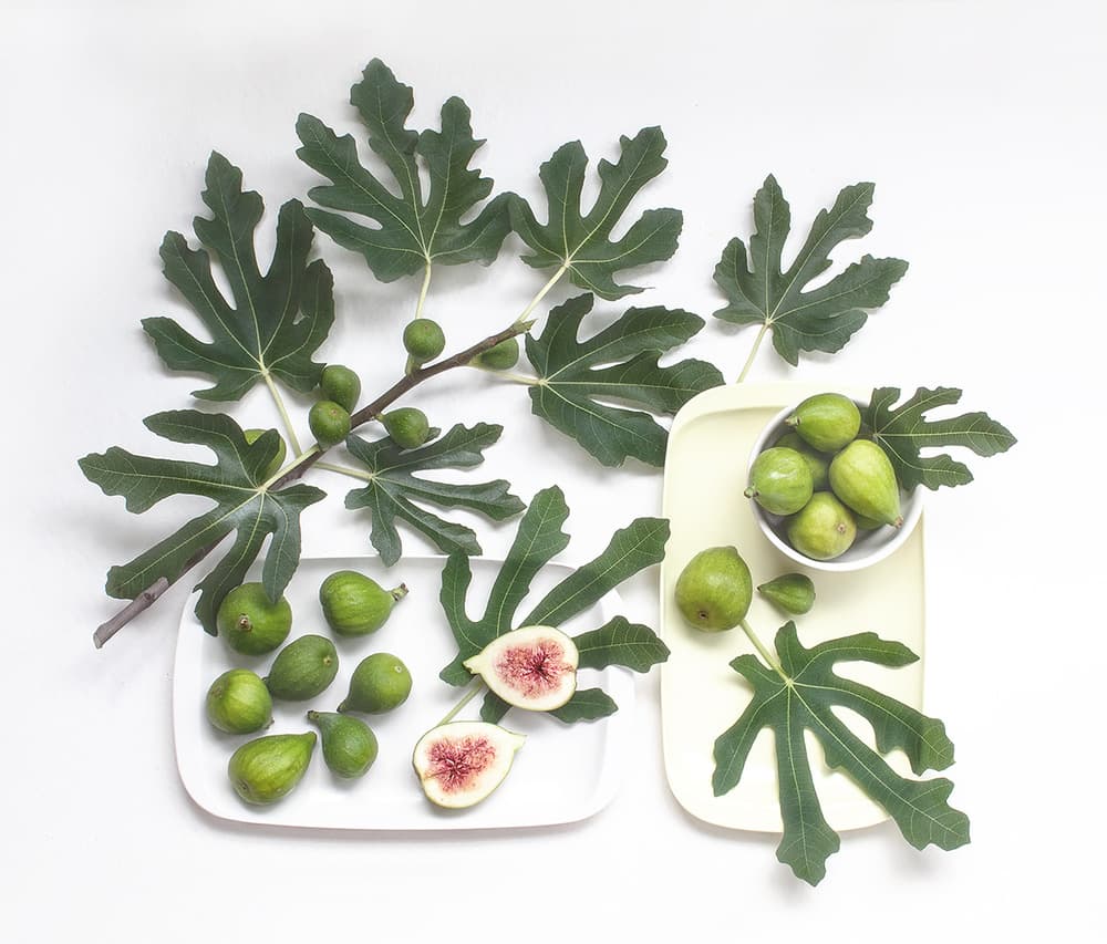 Fresh Green Figs by Dimitar Lazarov - Dim — canvas wall art