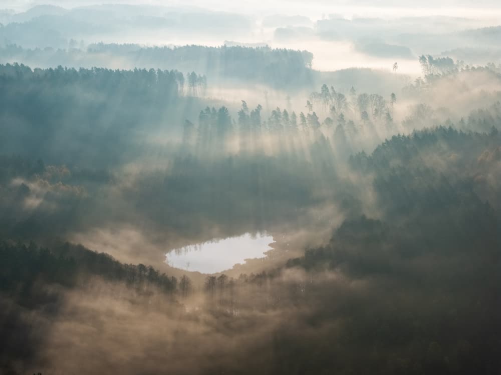 Sunlit Misty Forest Lake by Leszek Paradowski — canvas wall art