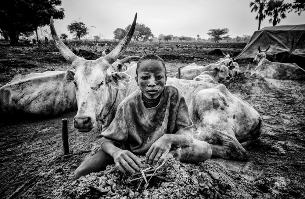 African Boy and Cattle by Joxe Inazio Kuesta Garmendia — canvas wall art