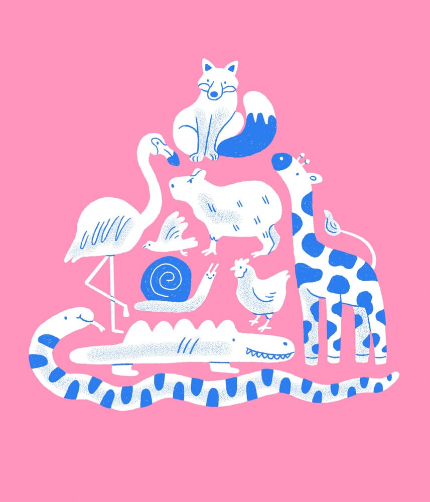Pink Animal Collage by Eliott Bulpett — canvas wall art