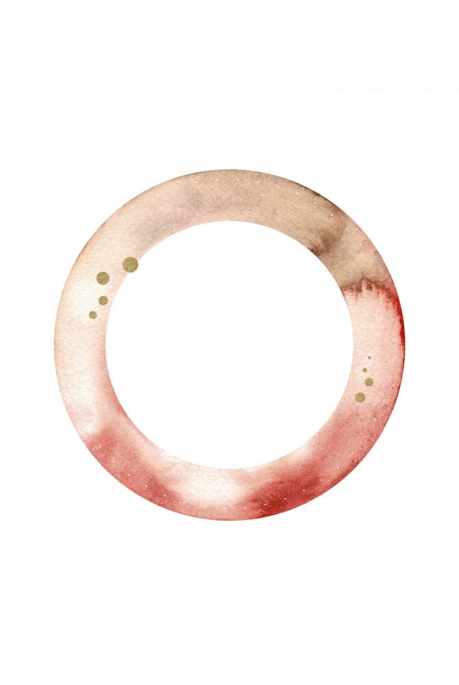 Blush Gold Circle by Fabiana Silveira — canvas wall art