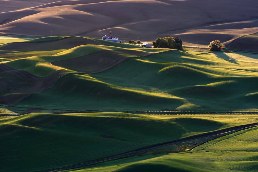 Golden Rolling Farmland by 李从军 / Austin Li — canvas wall art