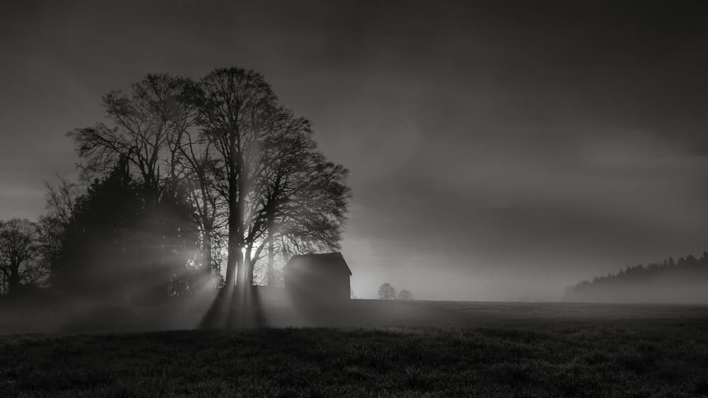 Misty Morning Sun Rays by Ulrike Eisenmann — canvas wall art
