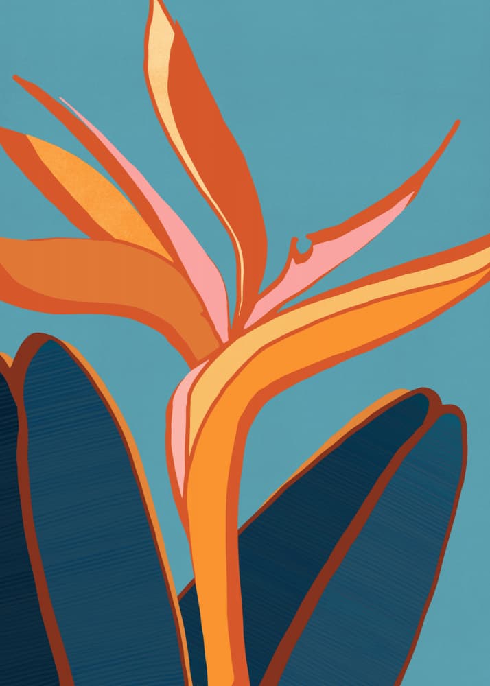 Untitled by Kristian Gallagher — canvas wall art