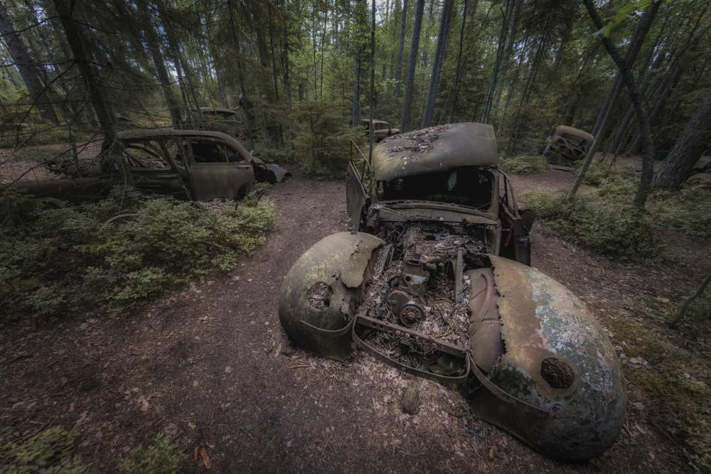 Forest Car Graveyard by Benny Pettersson — canvas wall art