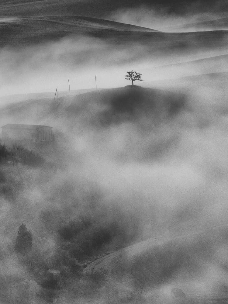 Misty Hilltop Tree by Massimo Della Latta — canvas wall art