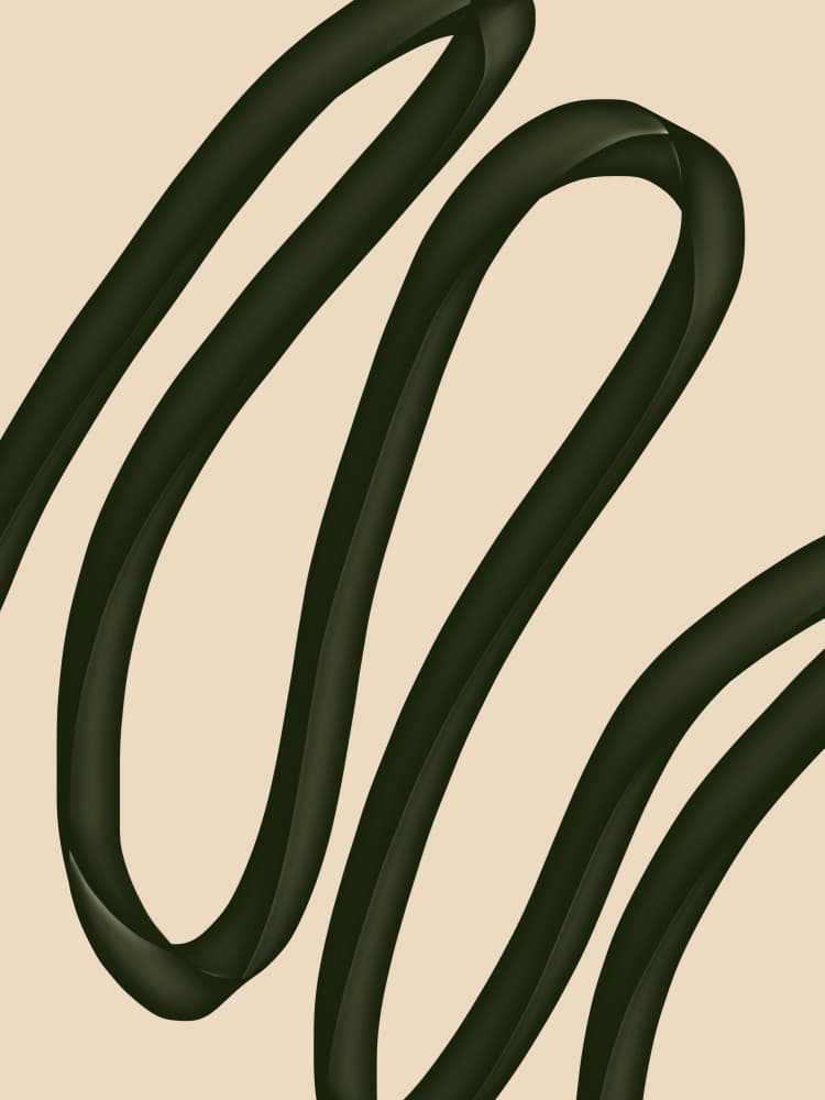Fluid Green Curves by Studio Palette — canvas wall art