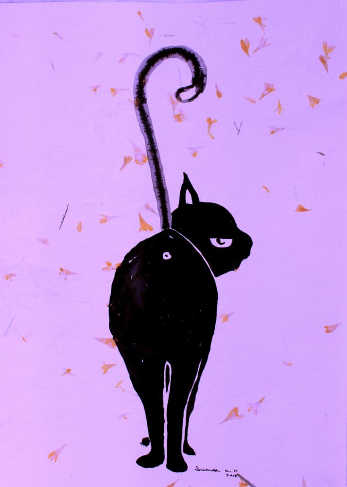 Grumpy Black Cat by Santhosh ch — canvas wall art
