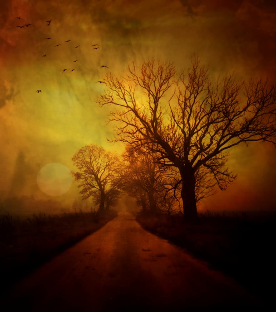 Golden Sunset Road by Robert Fabrowski — canvas wall art