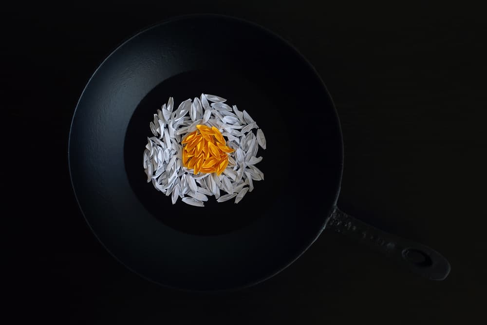 Conceptual Fried Egg by Victoria Glinka — canvas wall art