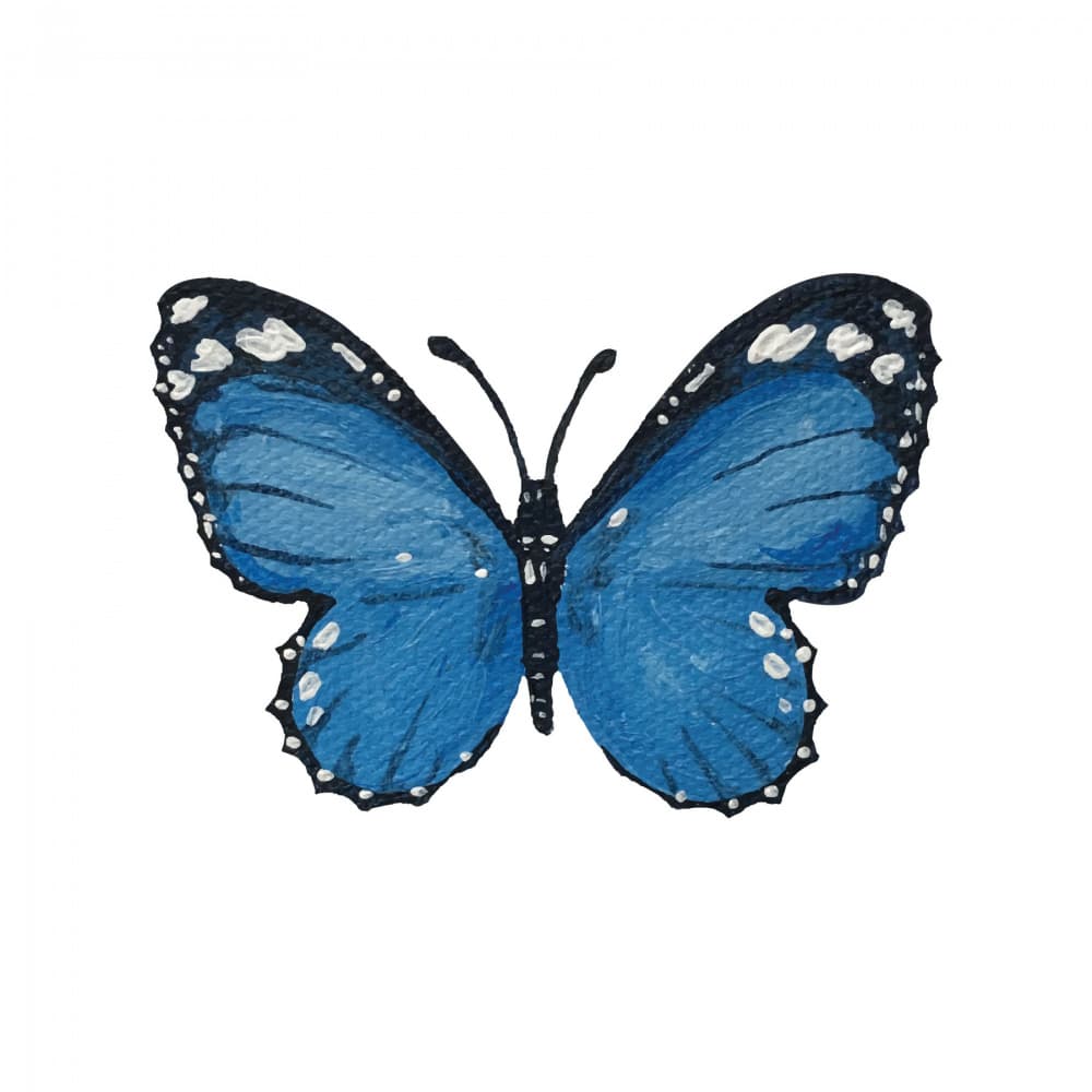 Painted Blue Butterfly by Madison Phipps — canvas wall art