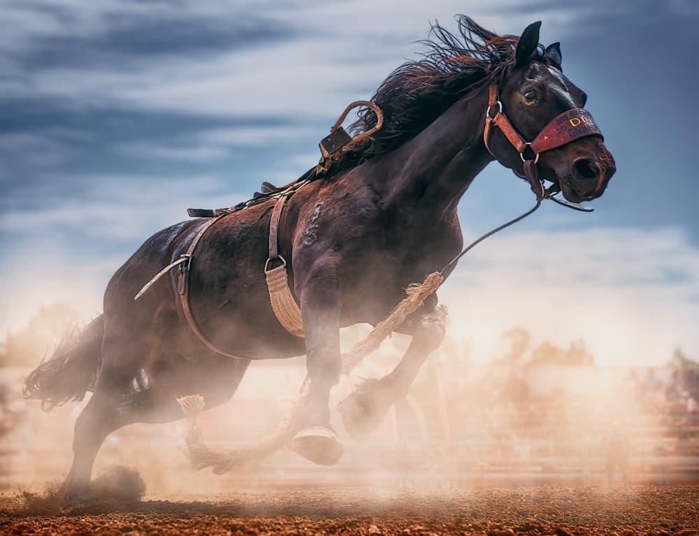 Powerful Galloping Horse by Ben.C.L — canvas wall art