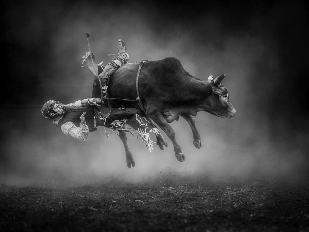 Airborne Bull Rider by Frank Ma — canvas wall art