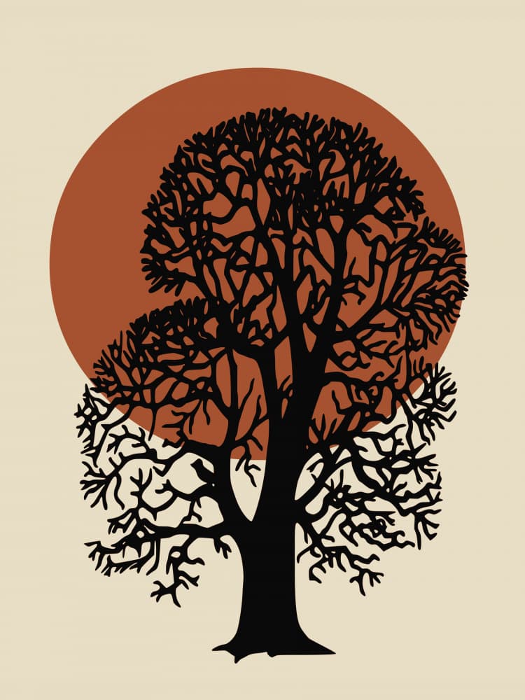 Earthy Tree Silhouette by Little Dean — canvas wall art