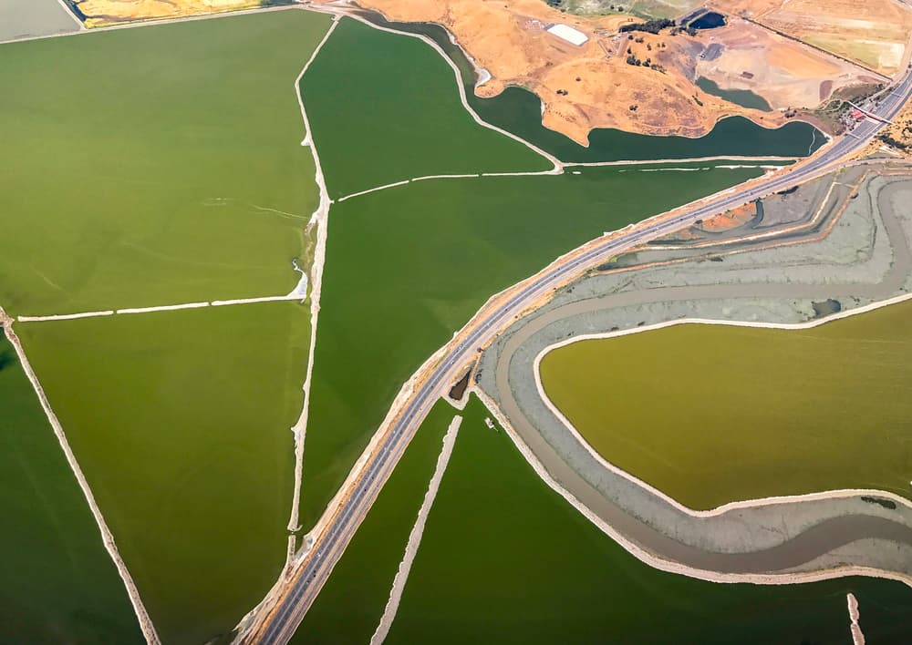 Aerial Salt Pond Landscape by Rob Darby — canvas wall art