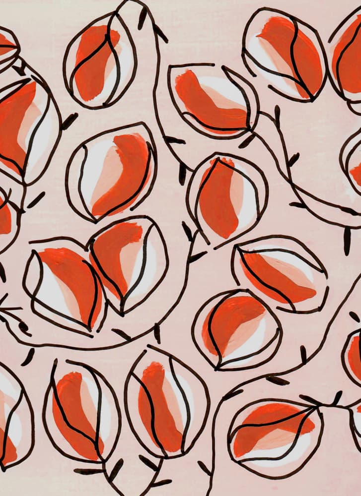 Blush Floral Abstraction by Lori Ann Folz — canvas wall art