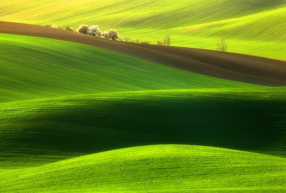 Rolling Green Fields by Krzysztof Browko — canvas wall art