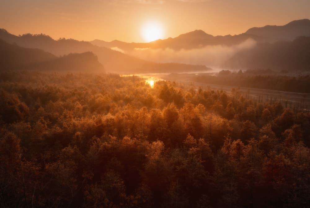 Golden Morning Valley Mist by Damon Hao — canvas wall art