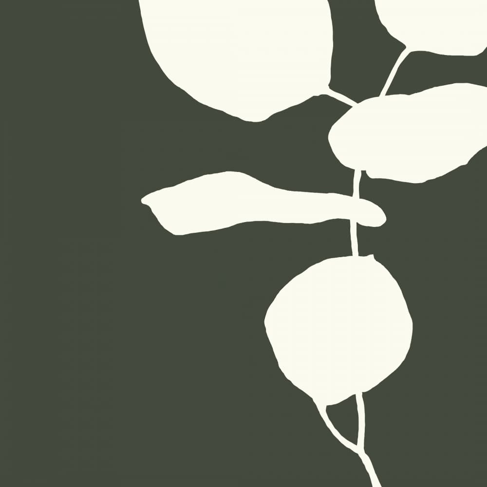Serene Plant Study by Andrea Reichhart — canvas wall art