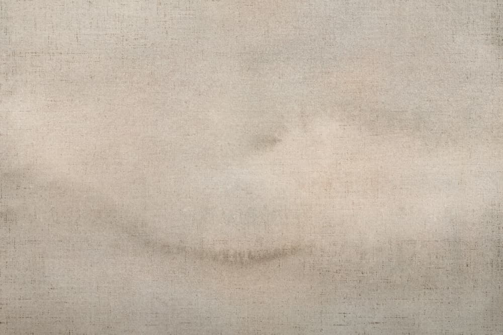 Muted Organic Texture by Lovorka Pavic — canvas wall art