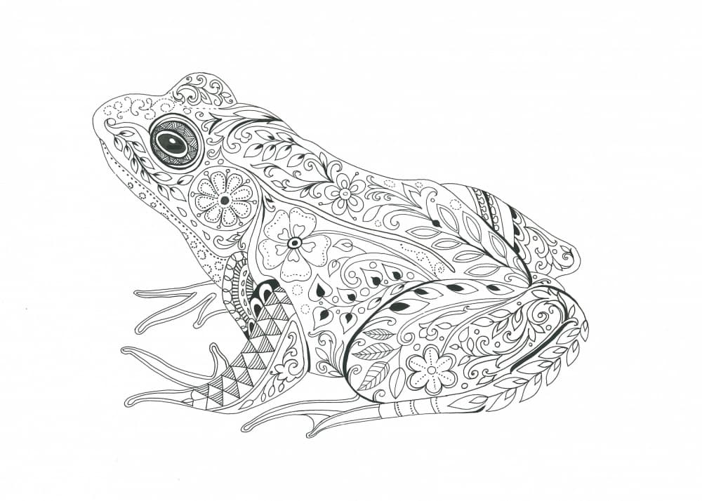Floral Frog Fantasy by Isabelle Brent — canvas wall art