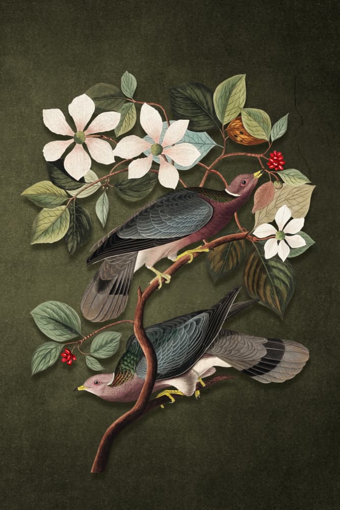 Elegant Birds and Blooms by Marja van den Hurk — canvas wall art