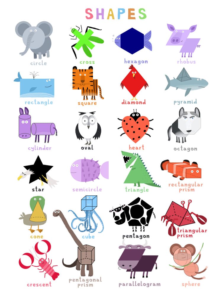 Cute Animals Shapes Chart by Carla Daly — canvas wall art