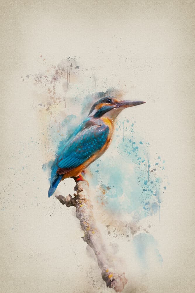 Vibrant Kingfisher Watercolor by Ema Paraschiv — canvas wall art