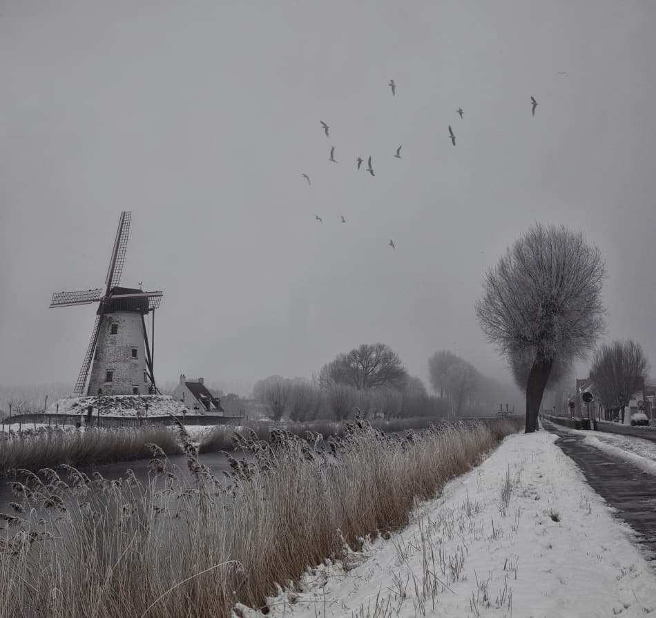 Snowy Windmill Landscape by Yvette Depaepe — canvas wall art