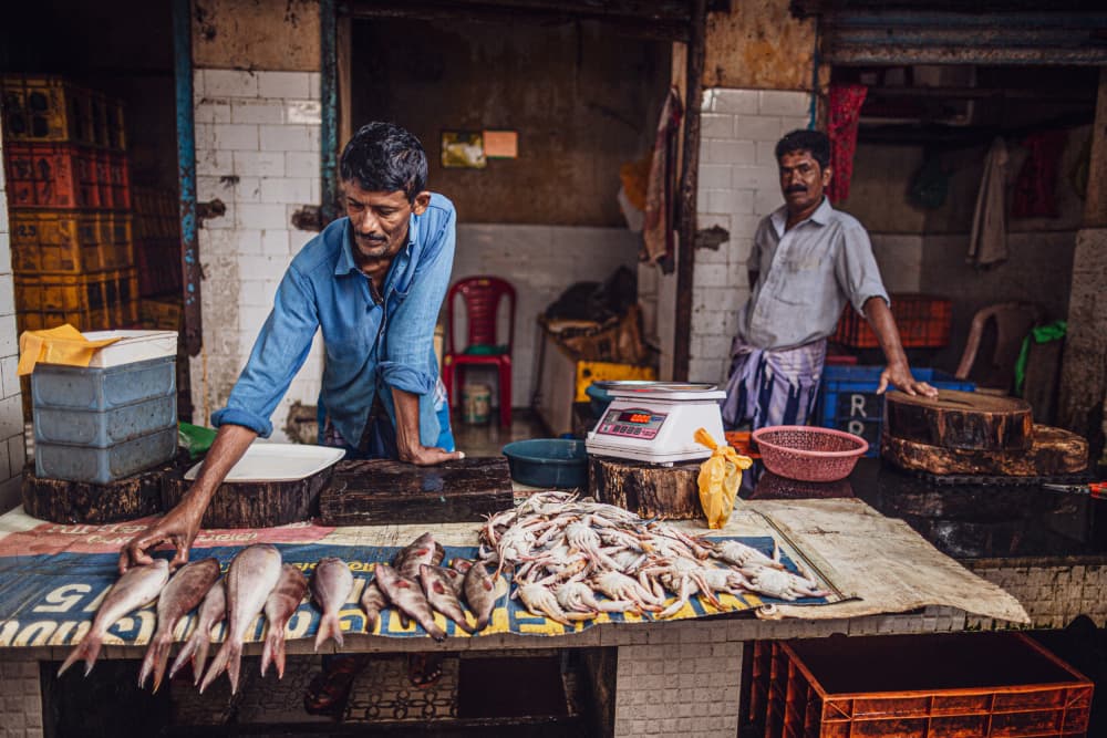 Indian Fish Market by Marco Tagliarino — canvas wall art