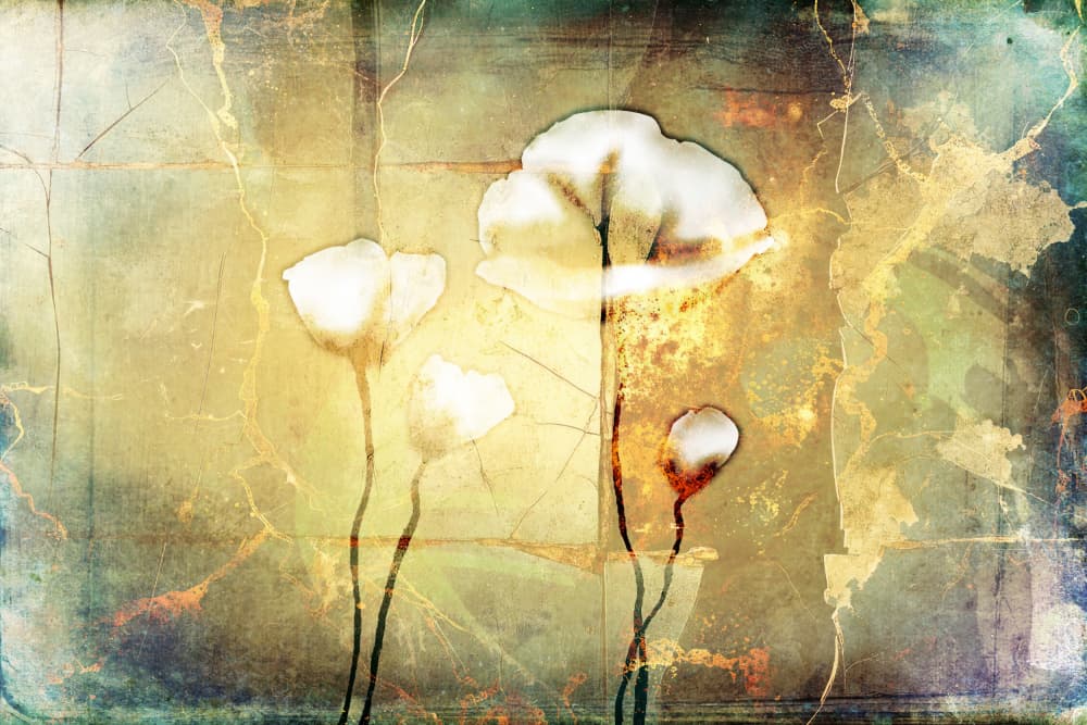 Ethereal Golden Poppies by Rafal Kulik — canvas wall art