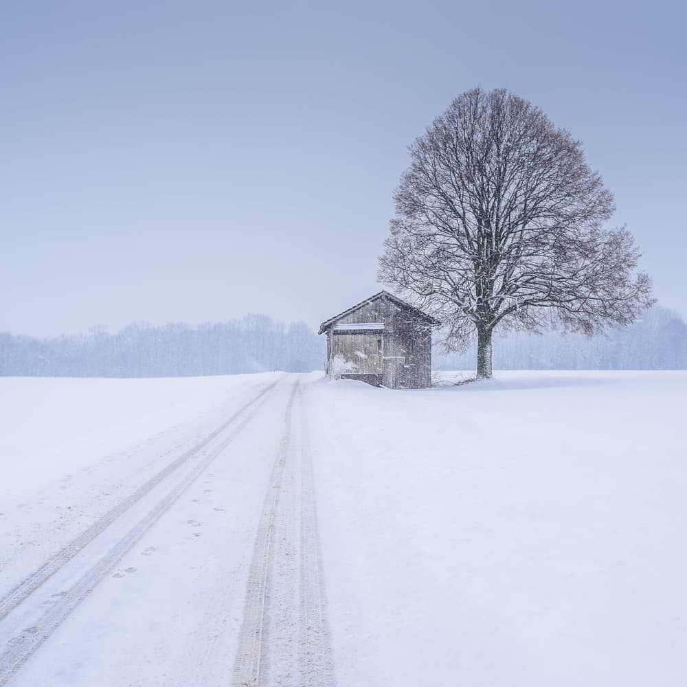 Snowy Cabin Serenity by Renate Wasinger — canvas wall art