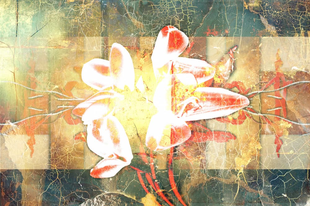 Rustic Floral Bloom by Rafal Kulik — canvas wall art