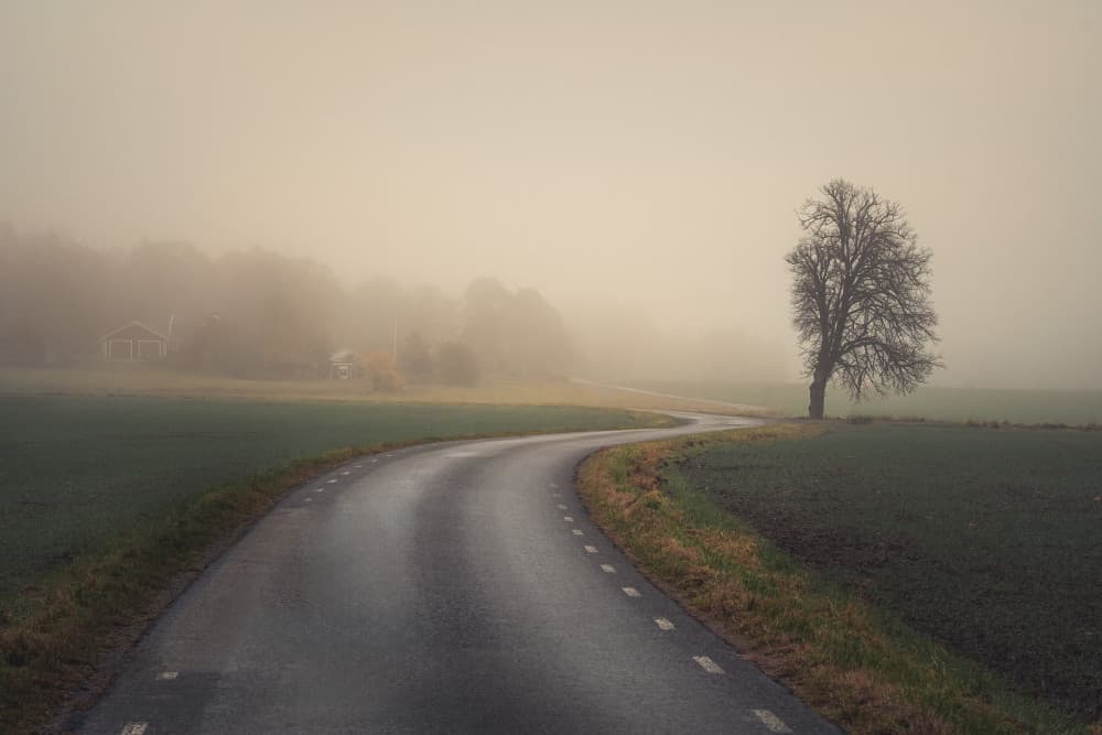Winding Foggy Road Tree by Christian Lindsten — canvas wall art
