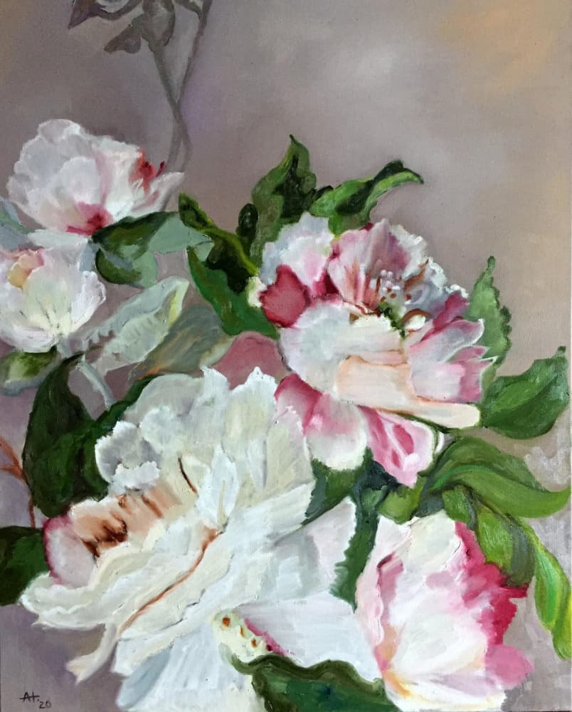 Pink And White Peonies by Alexandra Higgins — canvas wall art