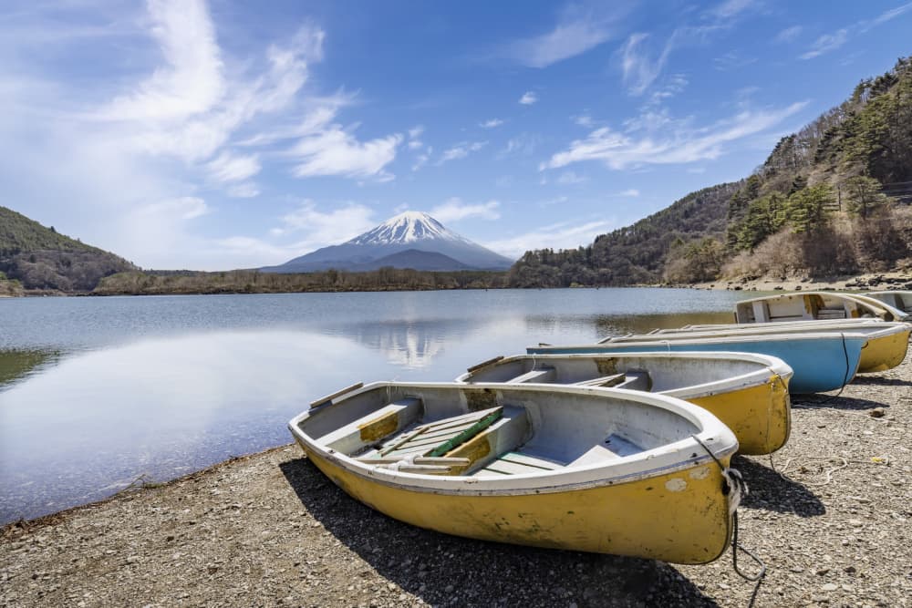 Mount Fuji Lakeside Serenity by Melanie Viola — canvas wall art