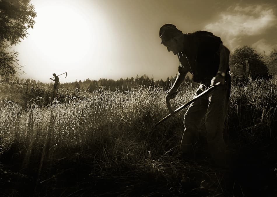 Scythes in Sunlight by Milan Malovrh — canvas wall art