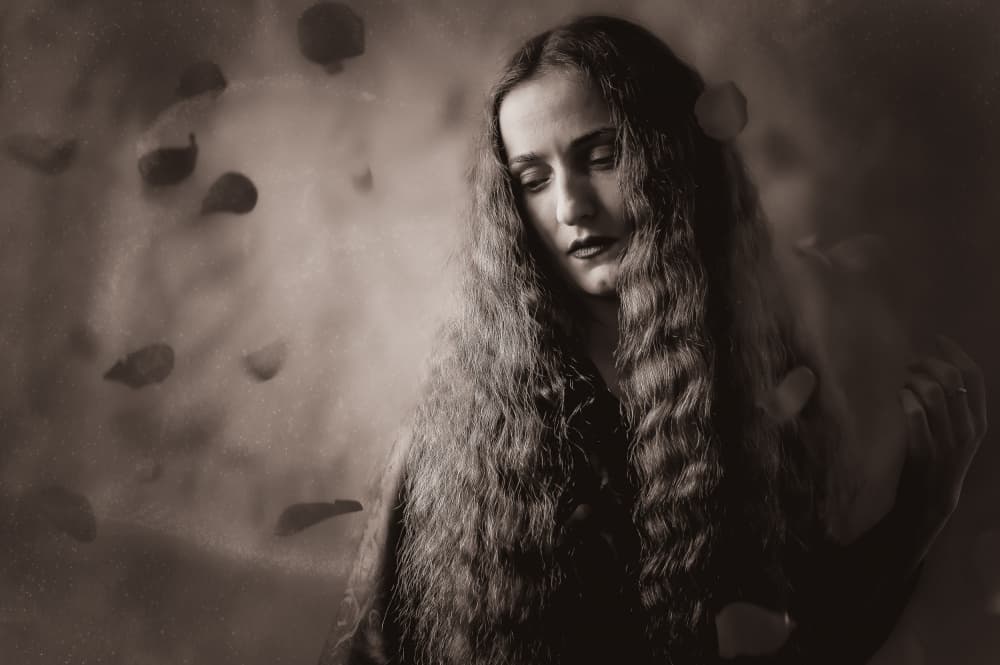 Wistful Petals Portrait by iuliana pasca — canvas wall art
