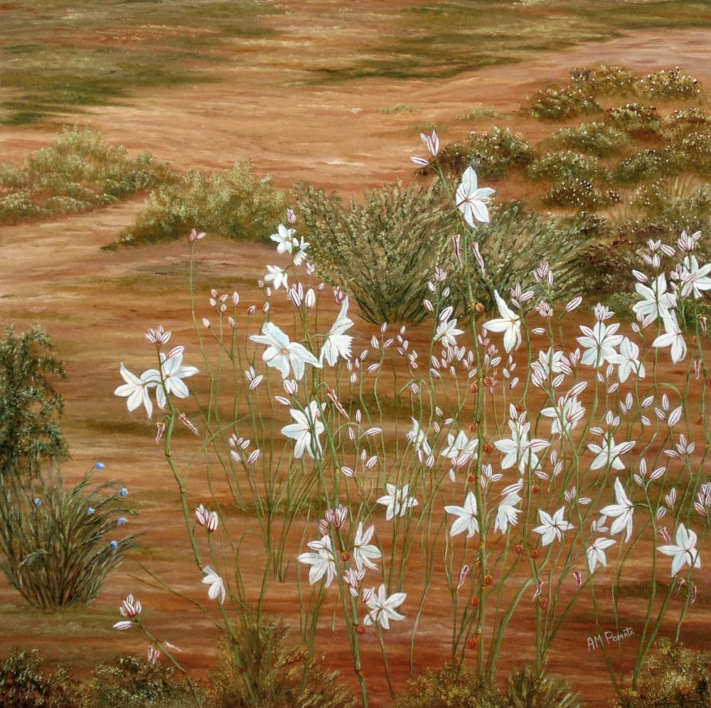 White Desert Flowers by Angeles M. Pomata — canvas wall art