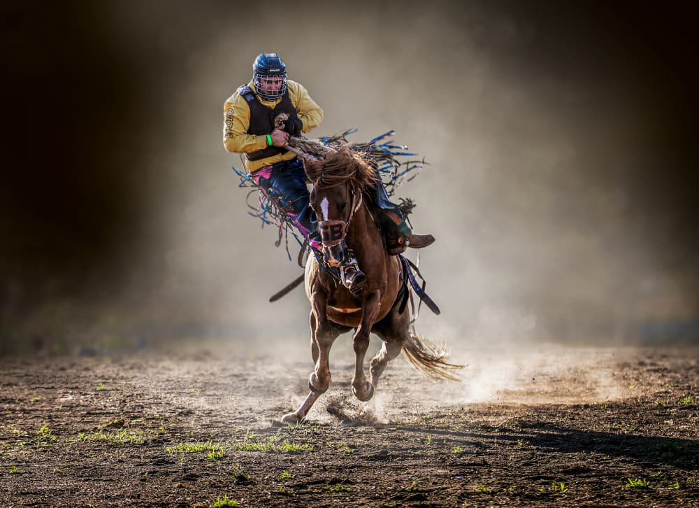 Bucking Rodeo Action by Frank Ma — canvas wall art