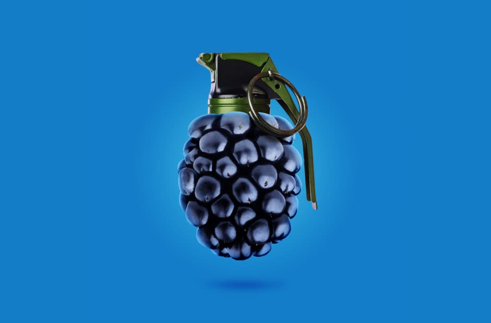 Blackberry Grenade by Artem Pozdniakov — canvas wall art