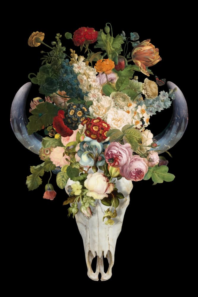Gothic Floral Skull by Marja van den Hurk — canvas wall art